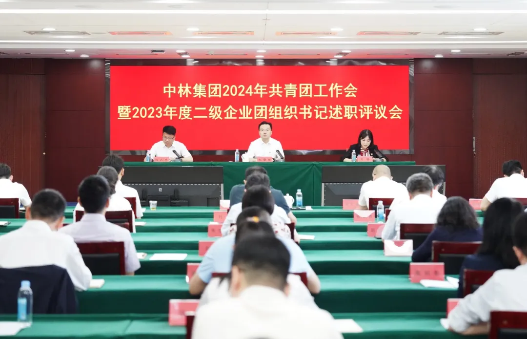 中林集团召开2024年共青团工作会暨2023年度二级企业团组织书记述职评议会
